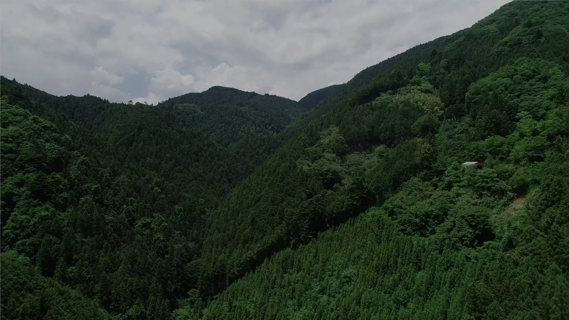 アクティビティ